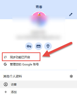 谷歌浏览器开启数据同步功能