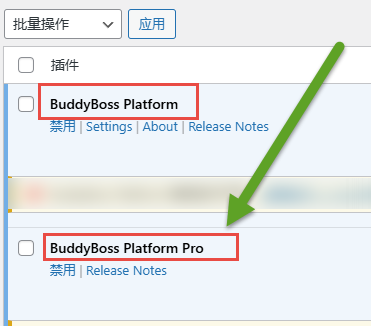 BuddyBoss Platform - WordPress论坛社群主题 2025 01 01 10 57 06