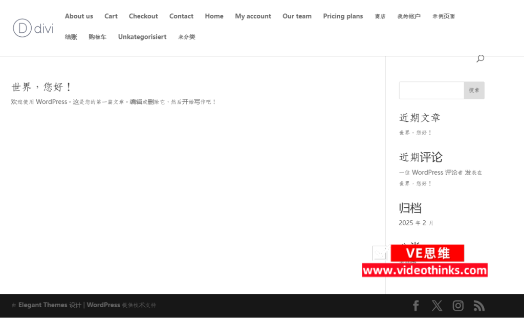 Divi - 迎合国内用户的国际性Wordpress主题 2025 02 21 18 55 30