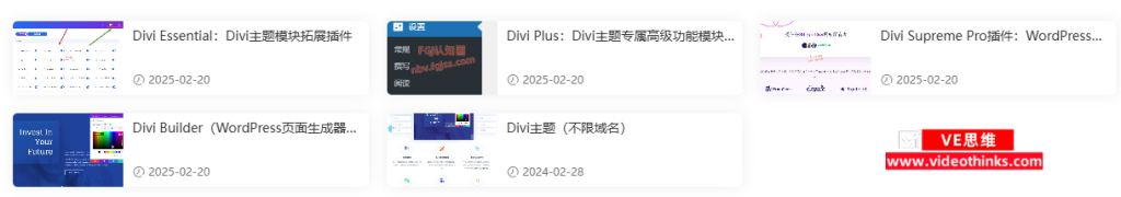 Divi - 迎合国内用户的国际性Wordpress主题 2025 02 21 19 02 14